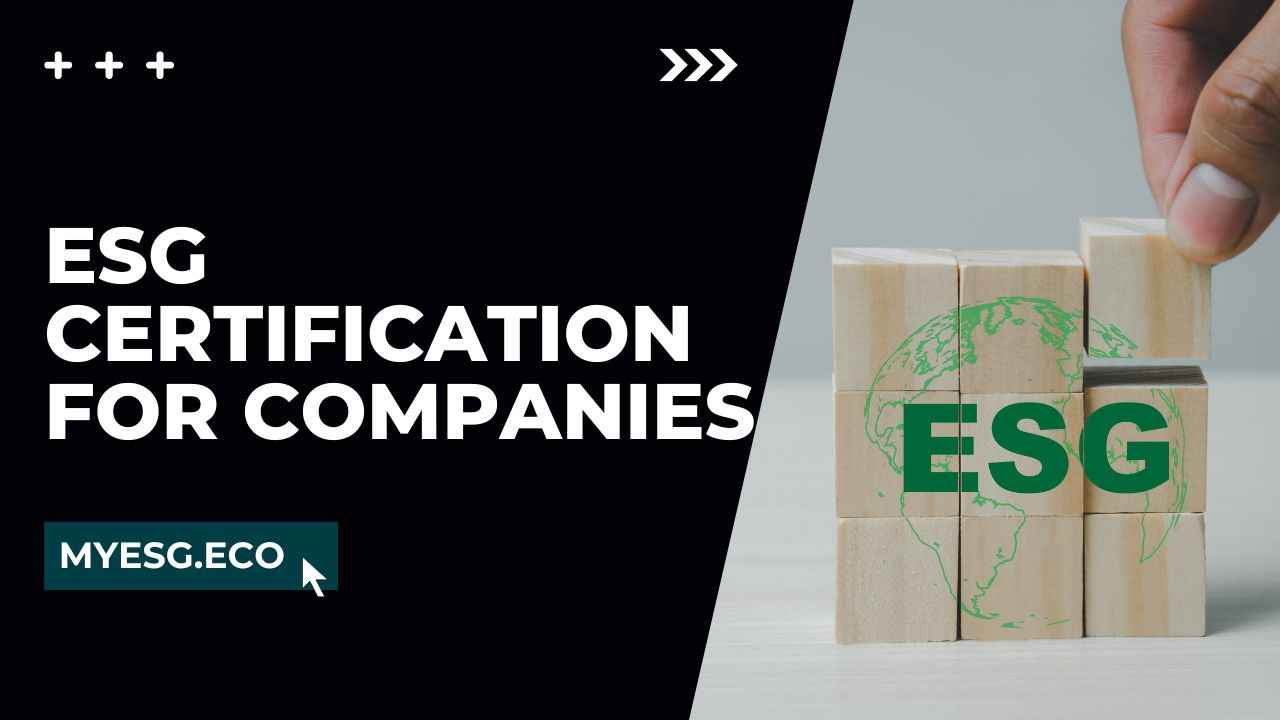 ESG Certification for Companies