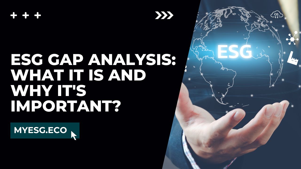 ESG Gap Analysis