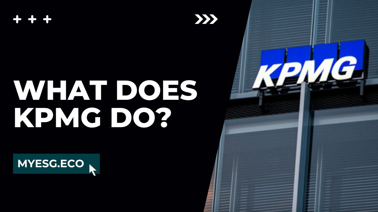What Does KPMG Do